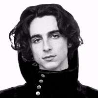 Timothee Chalamet Rebel GIF by Respective