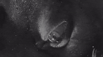 can't sleep stakeout on dope street GIF by Warner Archive