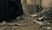 gameofthrones hbo game of thrones season 7 finale GIF