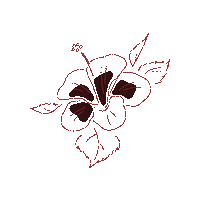 Hibiscus Ofabamberg Sticker by Ofa