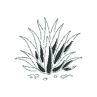 Agave Ofabamberg Sticker by Ofa