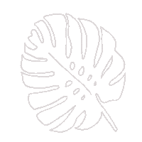 Plant Leaf Sticker