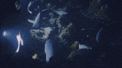Costa Rica Ocean GIF by Mission Blue