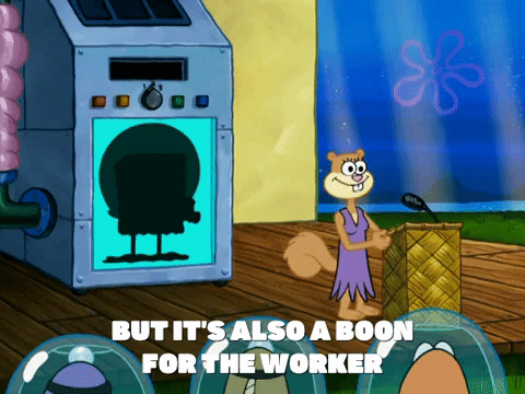 season 6 gullible pants GIF by SpongeBob SquarePants