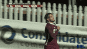 sacramento republic fc football GIF by USL