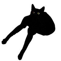 srodan art cat animation animated GIF