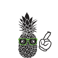 Summer Explore Sticker by FlyVour