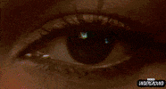 Pam Grier 70S GIF by Turner Classic Movies
