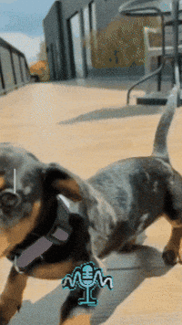 Bom Dia Feliz GIF by Murcianys LLC