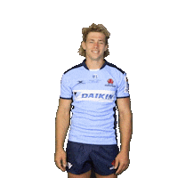 Rugby Union Sticker by NSW Waratahs