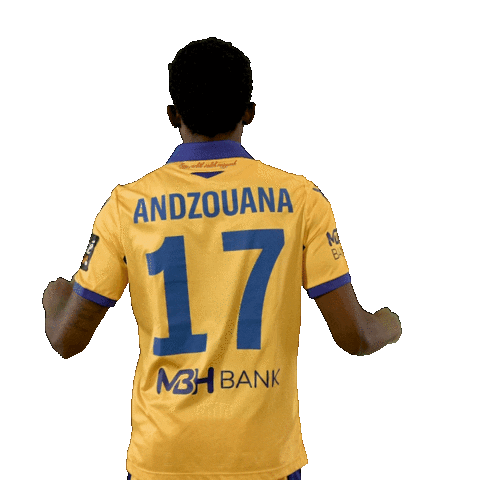 Football Player Sticker by Nike liga