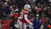 Football Nfl GIF by New England Patriots