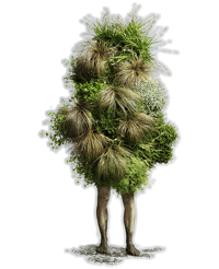 Nationalparkgarten Sticker by GLOBAL 2000