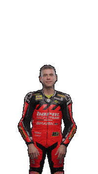 Alvaro Bautista Thumbs Up Sticker by WorldSBK