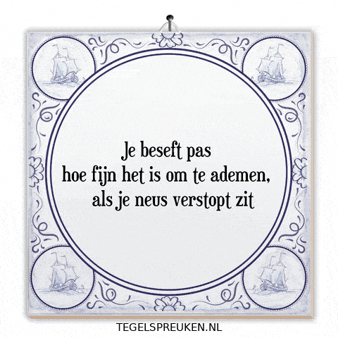 Humor Nl GIF by Tegelspreuken.nl