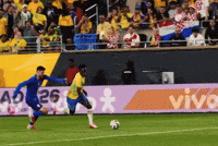 Vini GIF