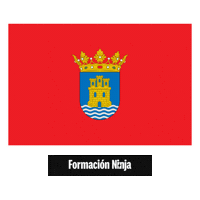 Comunidad De Madrid Flag Sticker by Formación Ninja