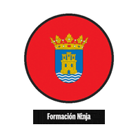 Comunidad De Madrid Flag Sticker by Formación Ninja