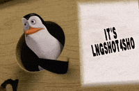 Louis Penguins GIF