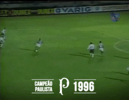 paulistao 1996 GIF by SE Palmeiras