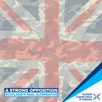 GIF by The Scottish Conservatives