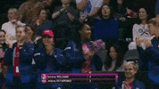 fedcup celebration team clap usa GIF