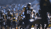 Mountaineers Football App State GIF by Appalachian State University