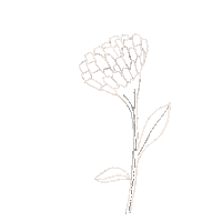 Flower Sticker