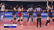 Happy United GIF by Volleyball World