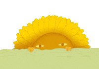 Tom Grennan Flower Sticker by Calvin Harris