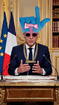 Macron GIF by systaime