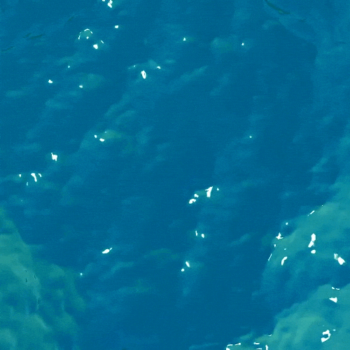 doom_scroll giphyupload giphycreatortest after effect the shape of water GIF