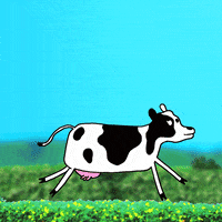 milk cow GIF by Premier Protein