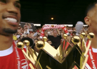 Arsenal Win GIF by memes