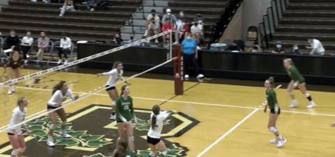 Celebration Dancing GIF by Brown Volleyball