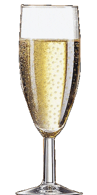 Congratulations Champagne Sticker
