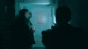 Dizi Sipahi GIF by Show TV
