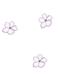 Loop Spinning Sticker