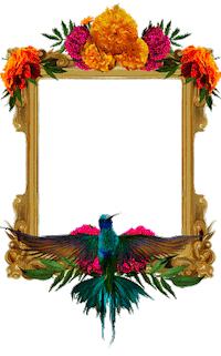 Day Of The Dead Mexico Sticker by Cerveza Victoria