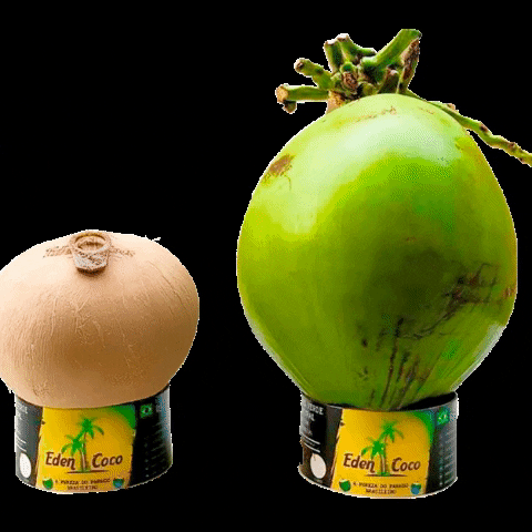 Instagram Coco GIF by EdenCoco