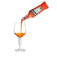 AperolSpritzNL spritz aperol aperolspritz Sticker