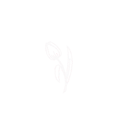 White Tulip Sticker by Bloomeffects