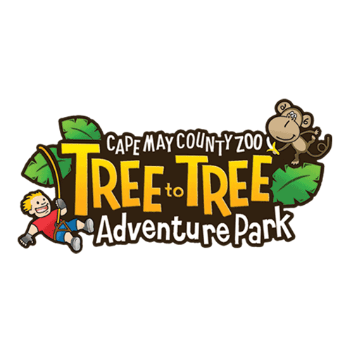 Adventure Zipline Sticker by Tree to Tree Cape May