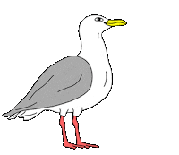 Bird Vizmedia Sticker by VIZ