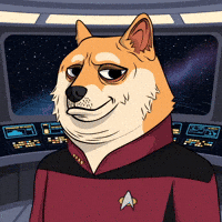 Engage Star Trek GIF by Doge Pound