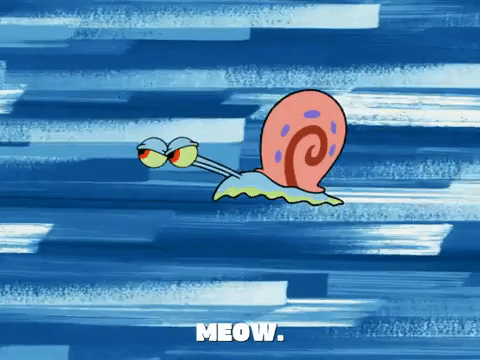 season 7 one coarse meal GIF by SpongeBob SquarePants