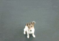 words GIF by hero0fwar