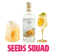 Cocktails Margarita Sticker by 21SEEDS Infused Tequila