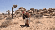 Wish You Well GIF by Jack Kays