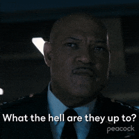 What Are They Up To?